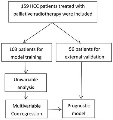 Prognostic Factors of Survival of Advanced Liver Cancer Patients Treated With Palliative Radiotherapy: A Retrospective Study